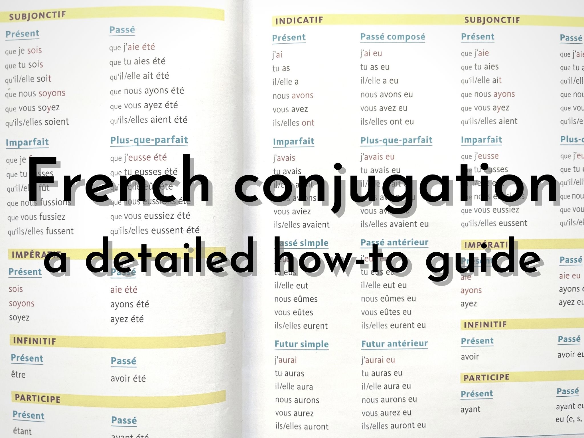 Verb To Have In French Conjugation