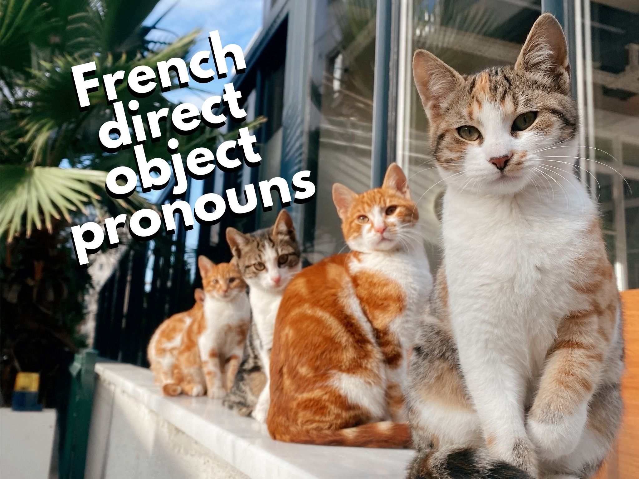 French Direct Object Pronouns A How to Guide