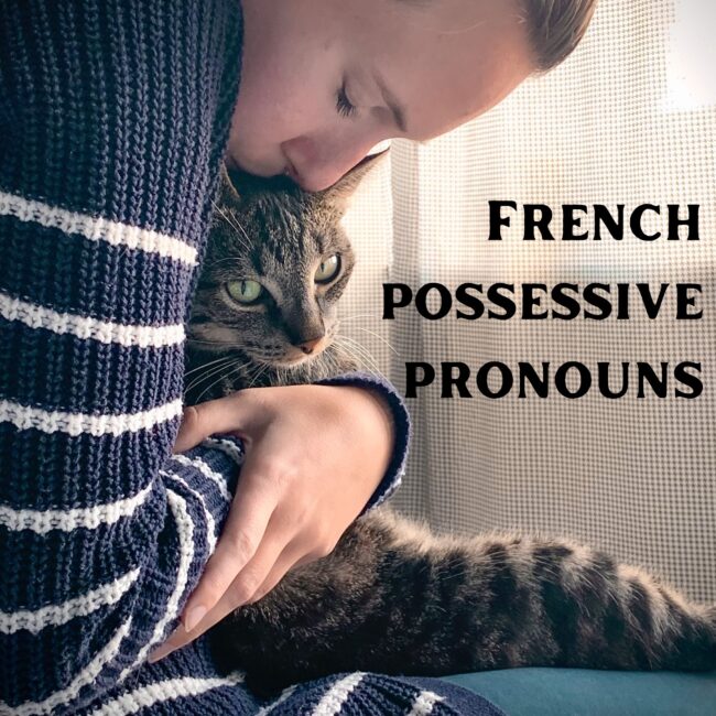 French possessive pronouns